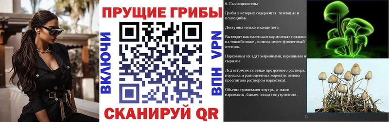 Псилоцибиновые грибы Psilocybe  купить наркоту  OMG как зайти  Дербент 